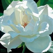 "Rose In The Shadow" Giclee by Brian Davis
