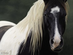 "Mustang Series 5" Giclee on Canvas by AD Maddox