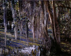 "Swamp Moss" Digital Archival Ink on Rag Paper by Adrian Deckbar