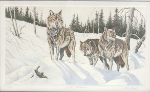 "Winter Shadows" Etching by David Chapple