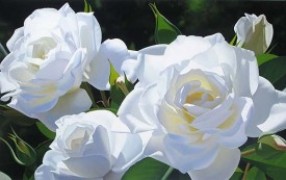 "White Rose Garden" Giclee by Brian Davis