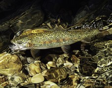 "Boulder River Rainbow" Giclee on Paper by AD Maddox