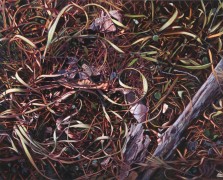 "Forest Floor" Giclee on Paper by Adrian Deckbar