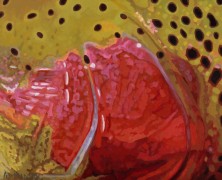 "Rainbow XXII" Fishing Giclee on Canvas by A D Maddox