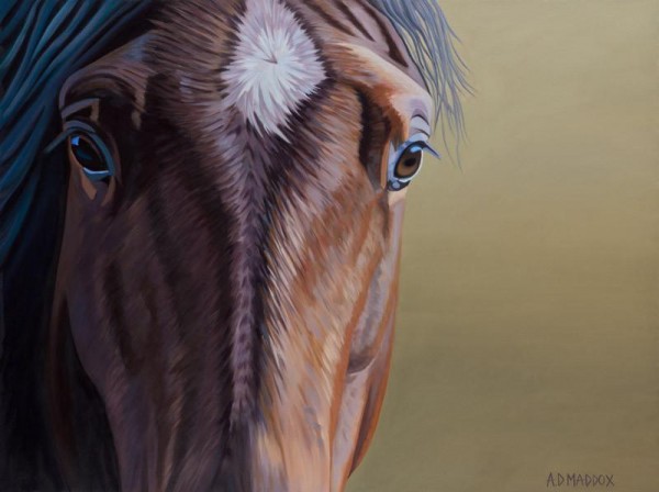 "Mustang Series I" Giclee on Canvas by AD Maddox