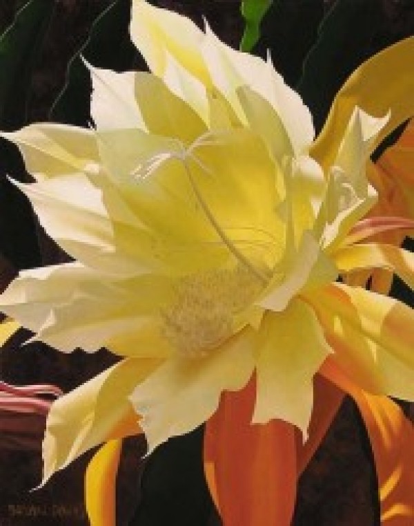 "Enlightment" Giclee by Brian Davis