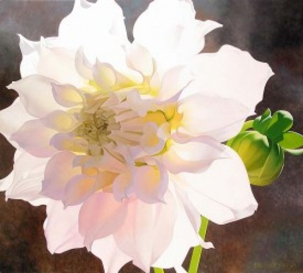 "Pale Pink Dahlia" Giclee by Brian Davis