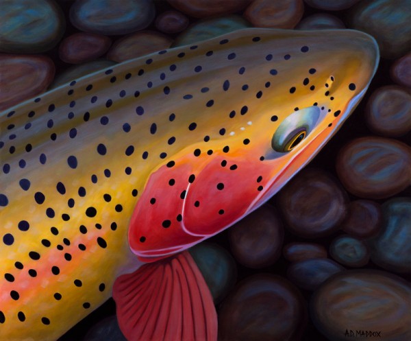 "Rocky Bow" Giclee on Canvas by AD Maddox
