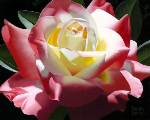"Delicate Double Delight" Giclee/Paper by Brian Davis