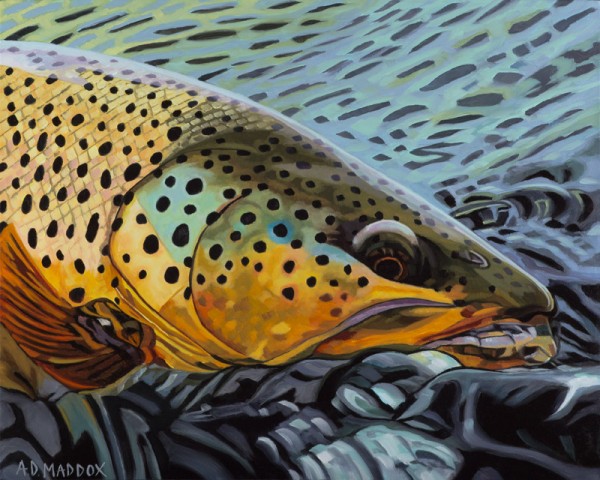 "Henry's Fork Brown" Fishing Giclee on Canvas by A D Maddox
