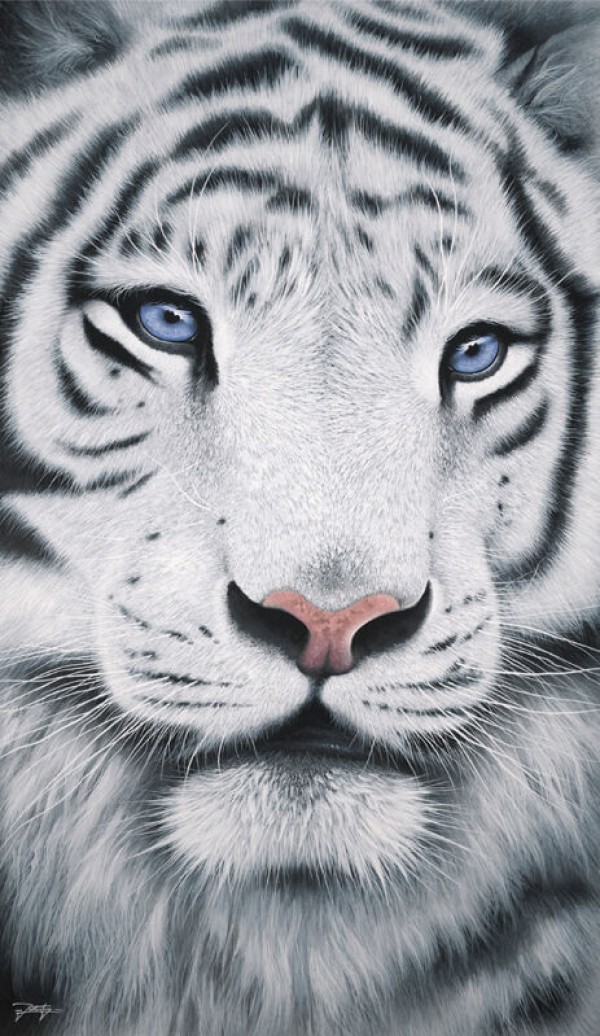 "Eyes of Wonder" Hand-Textured Giclee on Canvas by Jon Rattenbury