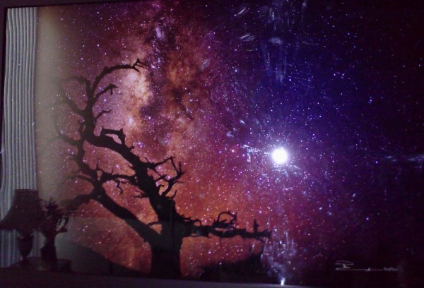 "Tree of the Universe" Framed Photograph by Peter Lik