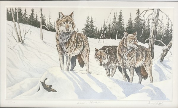 "Winter Shadows" Etching by David Chapple