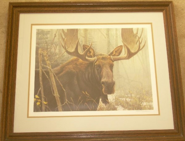 "Bull Moose" Framed Lithograph by Robert Bateman