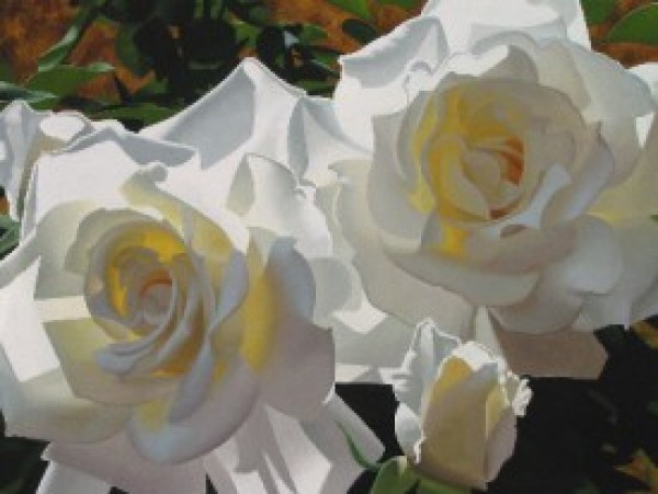 "White Radiant Roses" Giclee by Brian Davis