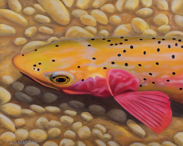 "Strawberry Cutty I" Giclee on Canvas by AD Maddox
