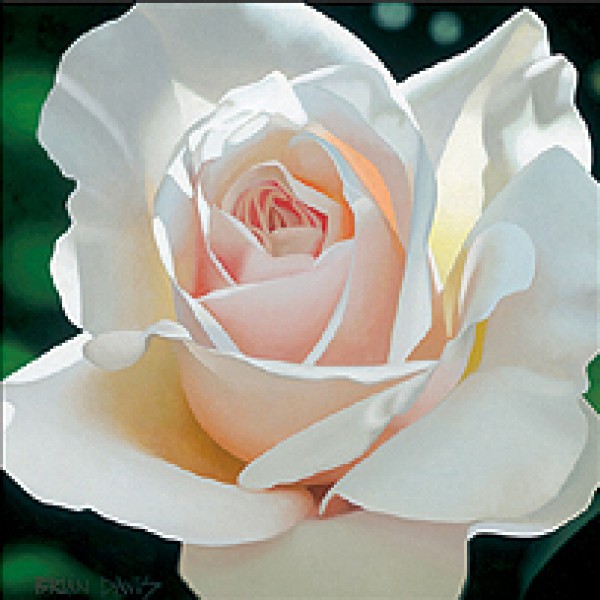 "French Lace Aglow" Giclee by Brian Davis