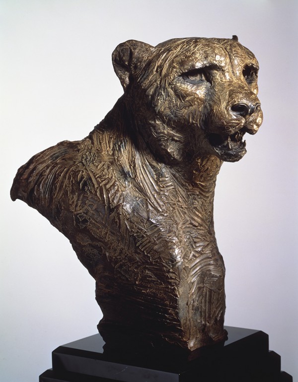 "Cheetah, Bust" Bronze Sculpture by Richard MacDonald