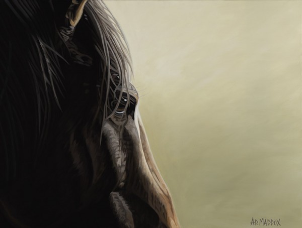 "Mustang Series 2" Giclee on Canvas by AD Maddox