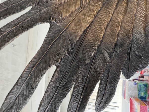 "Wings of Freedom"