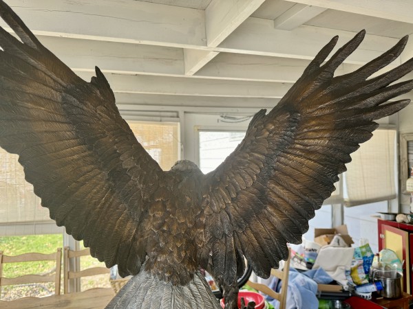 "Wings of Freedom"
