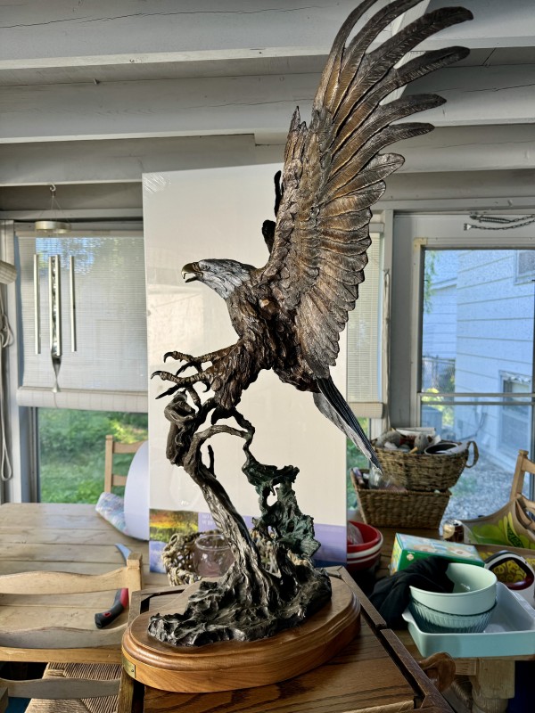 "Wings of Freedom"