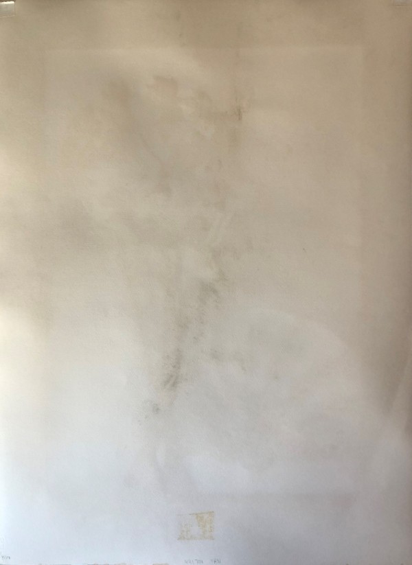 "Peacock for Sophie" "Un Paon Pour Sophie" a Lithograph on Paper by Graciela Rodo Boulanger