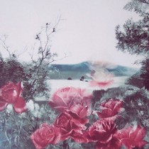 Rosecape Mezzotint by G. H. Rothe